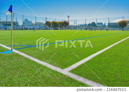 Well-maintained soccer field soccer field soccer field soccer fresh greenery 116867013