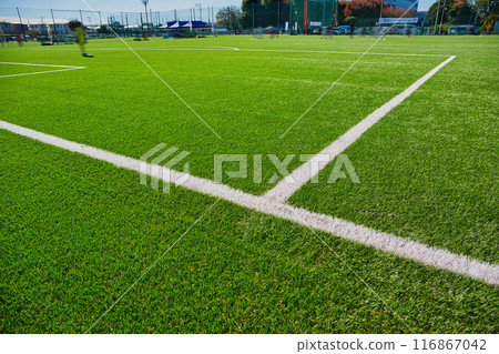 Well-maintained soccer field soccer field soccer field soccer fresh greenery 116867042
