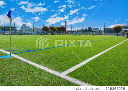Well-maintained soccer field soccer field soccer field soccer fresh greenery 116867056