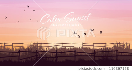 Meadow silhouettes with grass and old wooden fence. Countryside, panoramic summer lawn rural landscape with herbs, weeds. Agriculture and farming. Summer sunset in nature. Vector illustration 116867158