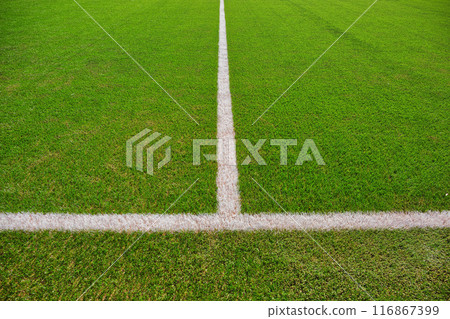 Well-maintained soccer field Soccer ground Soccer field Soccer ground Soccer Fresh greenery Well-maintained soccer field Soccer ground Soccer field Soccer ground Soccer Fresh greenery 116867399