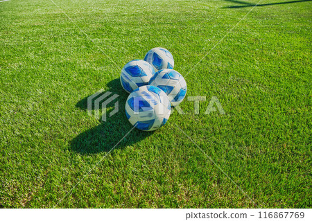 soccer ball soccer field soccer field soccer field soccer soccer ball soccer field soccer field soccer field soccer 116867769