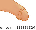 Simple penis color illustration 116868326