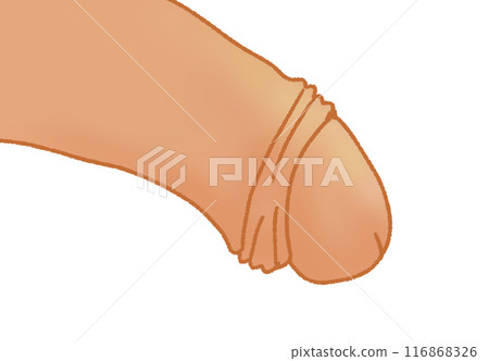 Simple penis color illustration 116868326