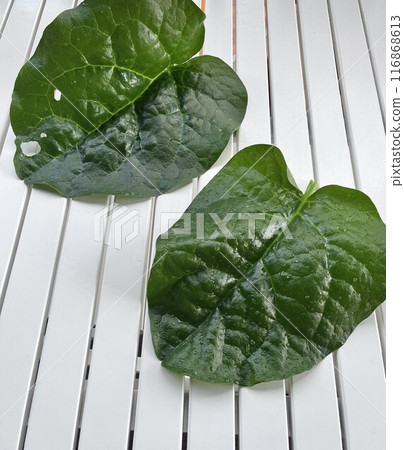 malabar spinach on white table background. 116868613
