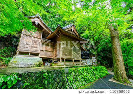 Yame Tsuhime Shrine in summer, Yame City, Fukuoka Prefecture 116868902
