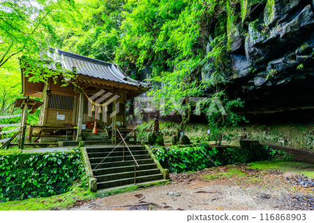 Yame Tsuhime Shrine in summer, Yame City, Fukuoka Prefecture 116868903