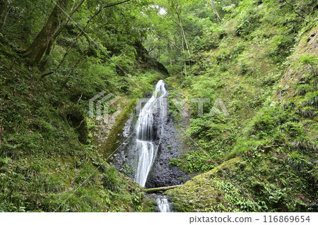 Seven Waterfalls of Atera amidst fresh greenery 116869654