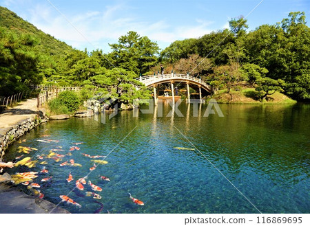 栗林樂園鯉魚戲水風光 116869695