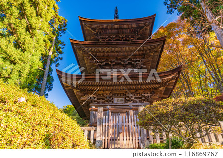 [長野縣] 大寶寺三層塔國寶 116869767