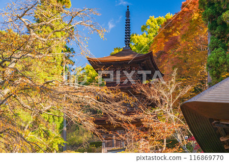 [Nagano Prefecture] Daihoji Temple Three-story Pagoda National Treasure 116869770