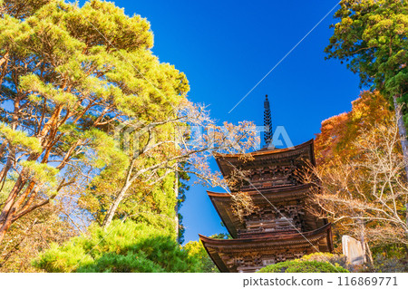 [長野縣] 大寶寺三層塔國寶 116869771
