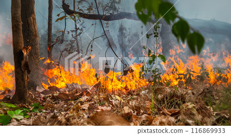 Wildfires release carbon dioxide (CO2) emissions and other greenhouse gases (GHG) that contribute to climate change. 116869933