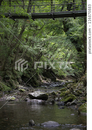 山谷中河流的流動 - 清澈的溪流和暑假冒險和未開發地區的圖像 116870883