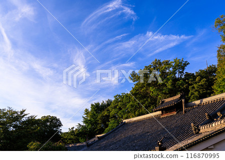 Summer 2024: Evening view of Nigatsudo Hall in Nara. Looking back from the stage, clouds that look like they were painted with a brush spread across the sky above the teahouse. 116870995