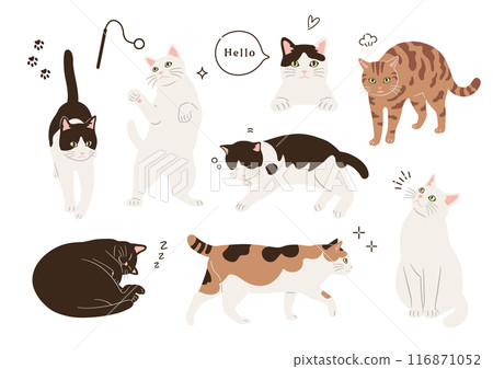 Illustrations of cats in various patterns and poses 116871052