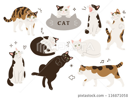 各種圖案和姿勢的貓的插圖 116871058
