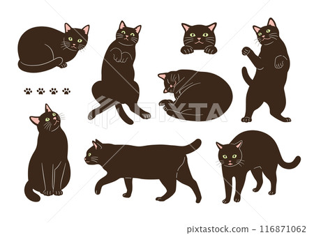 Illustration of cute black cats in various poses 116871062