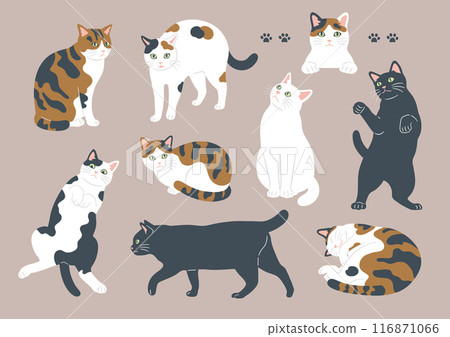 Illustrations of cats in various patterns and poses Illustrations of cats in various patterns and poses 116871066