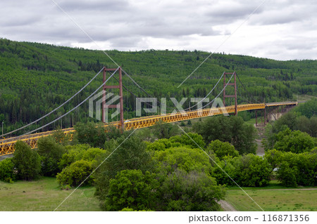 Landscape in summer woodland with yellow bridge and cloudy sky. 116871356