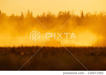 Silhouette of a tractor seeding in dust in the field in the orange sunset. Silhouette of a tractor seeding in dust in the field in the orange sunset. 116871492