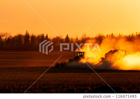 Woman is standing in a strawberry field with a pale full of berries. 116871493