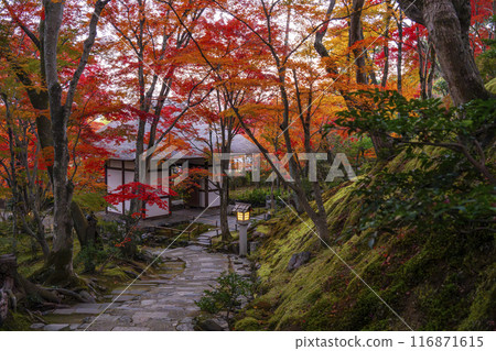 Kyoto in autumn, Jojakkoji Temple, Niomon gate covered in autumn leaves seen from Sueyoshizaka Kyoto in autumn, Jojakkoji Temple, Niomon gate covered in autumn leaves seen from Sueyoshizaka 116871615