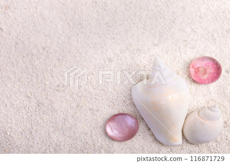 Border with seashells and red glass pebbles on white sand. 116871729