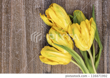 Bunch of yellow tulips with leaves on the brown wooden table. 116871992