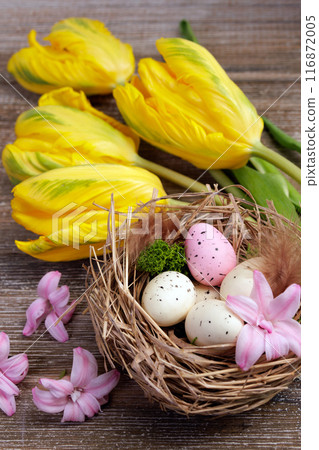 Easter composition with nest and eggs, yellow tulips and hyacinth. 116872005