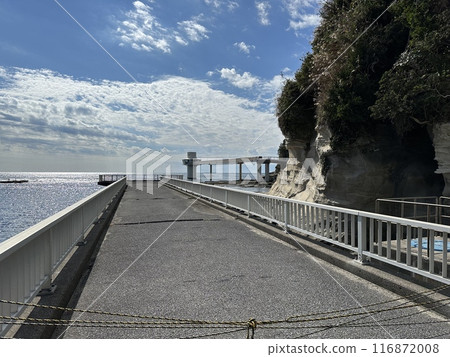 勝浦海洋公園水下Observation望塔 116872008
