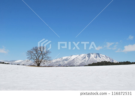 Iwate Iwate 116872531