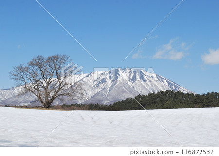 Iwate Iwate 116872532