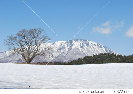 Iwate Iwate 116872534