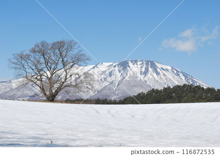 Iwate Iwate 116872535