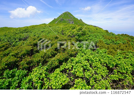 從鳥海山邊緣看到的岩木山 116872547