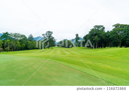 Green with Sand bunkers on Golf course Green with Sand bunkers on Golf course 116872868