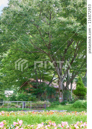 一座被鮮花和樹木包圍的小屋 116872953