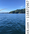 漁船漂浮在海上，在藍天大海中釣魚 116872967