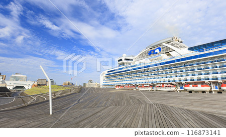 鑽石公主錨在Oosan橋 116873141