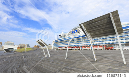 鑽石公主錨在Oosan橋 116873143