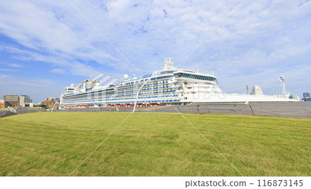 Diamond Princess Anchoring at Oosan Bridge 116873145