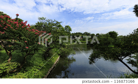 神奈川縣橫濱市本牧三溪園/三溪園的夏天 神奈川縣橫濱市本牧三溪園/三溪園的夏天 116873166