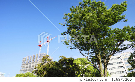 橫濱公園的夏天 116873200