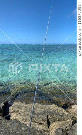 在沖繩蔚藍的大海釣魚 在沖繩蔚藍的大海釣魚 116873398