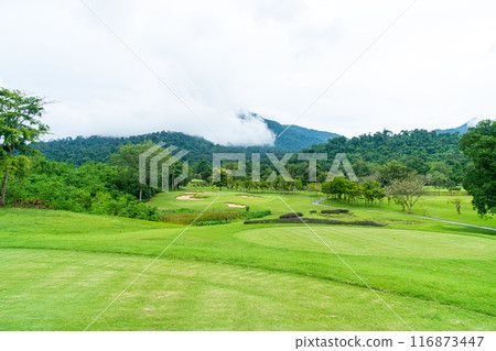 Green with Sand bunkers on Golf course 116873447