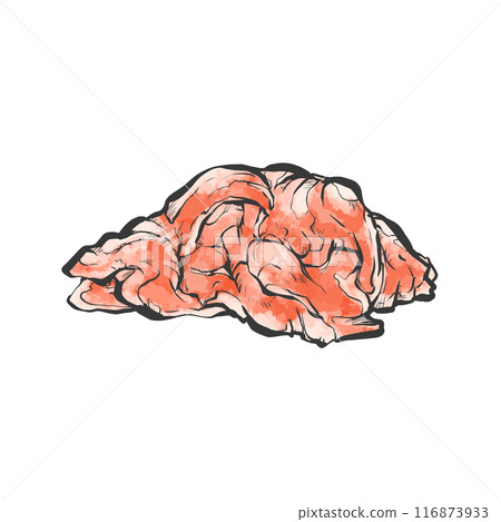 肉末手寫畫筆繪畫風格插畫 肉末手寫畫筆繪畫風格插畫 116873933