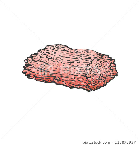 肉末手寫畫筆繪畫風格插畫 肉末手寫畫筆繪畫風格插畫 116873937