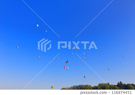 Saku Balloon Festival Saku Balloon Festival 116874451