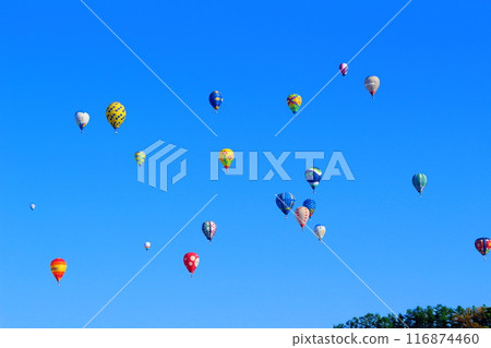 Saku氣球節 Saku氣球節 116874460